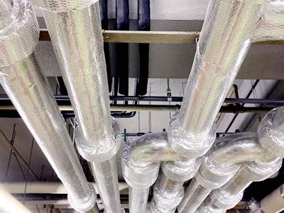 年や歴は関係なく、自分次第でどこまでも上を目指せる環境です。